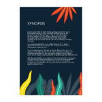 Web Design Course